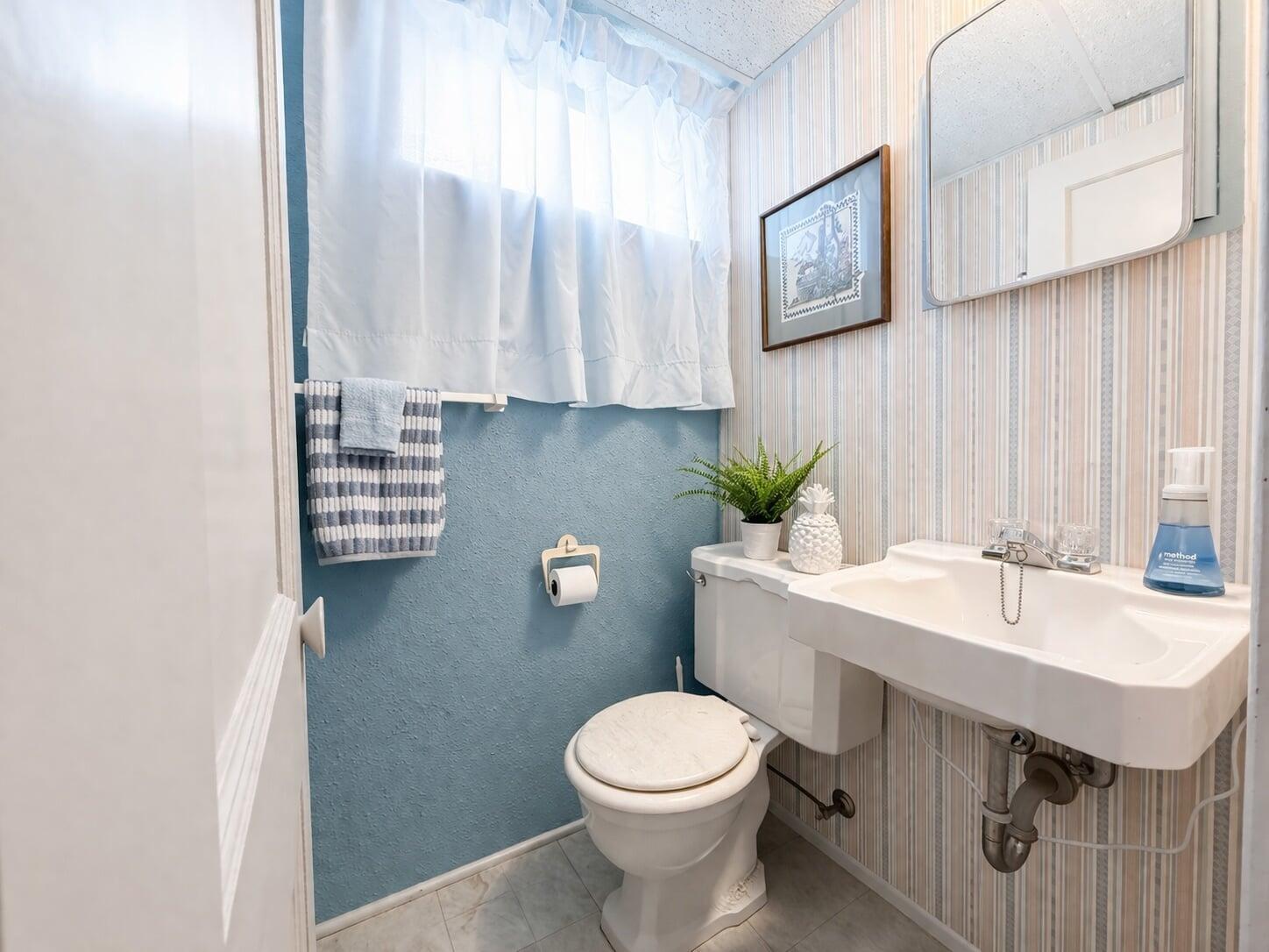 LOWER LEVEL BATHROOM